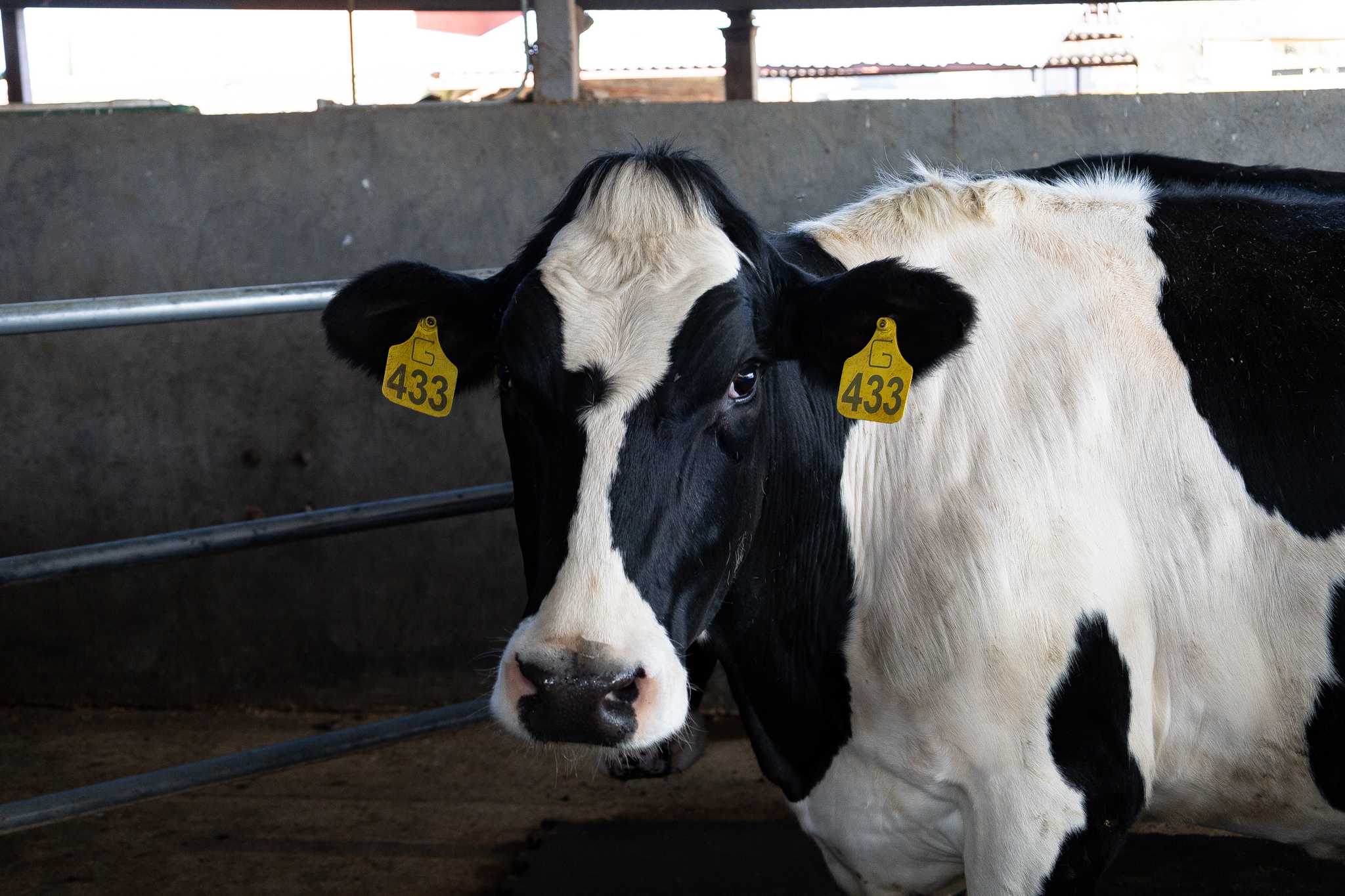 Establo La Esperanza